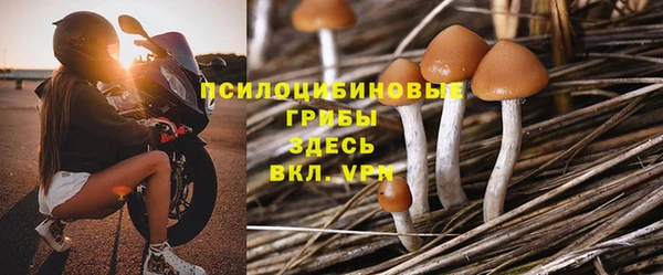 первитин Анива