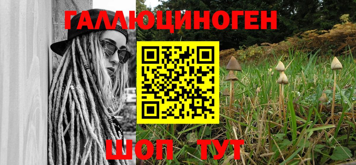 Псилоцибиновые грибы мухоморы Полевской